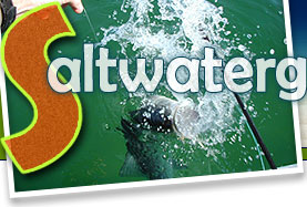 Saltwaterguides.com - Find a Saltwater Fishing Guide