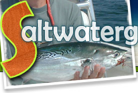 Saltwaterguides.com - Find a Saltwater Fishing Guide